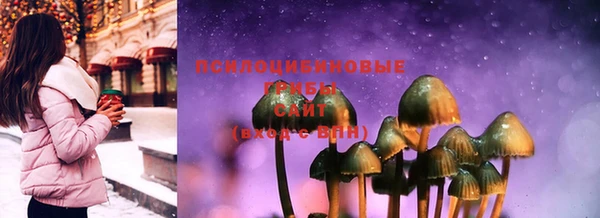 ГАЛЛЮЦИНОГЕННЫЕ ГРИБЫ Горняк