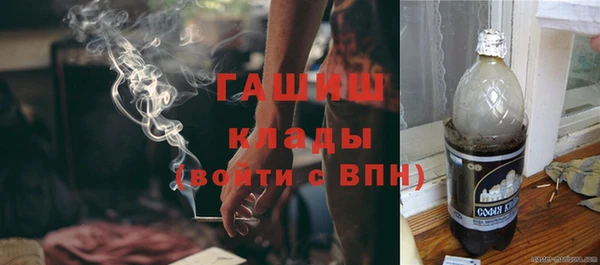 PSILOCYBIN Горнозаводск