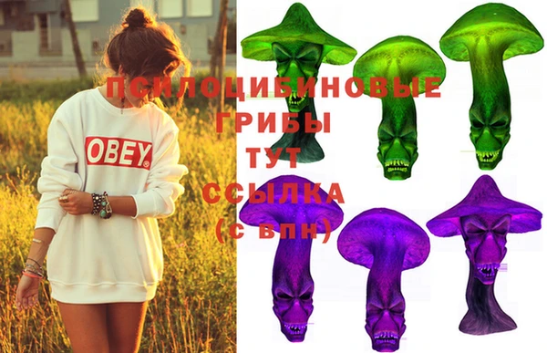 PSILOCYBIN Горнозаводск