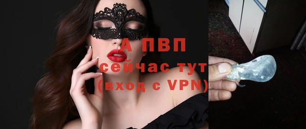 стафф Гусев