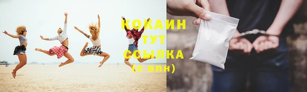 ГАЛЛЮЦИНОГЕННЫЕ ГРИБЫ Горняк