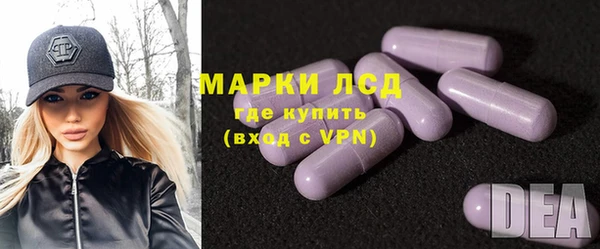 стафф Гусев