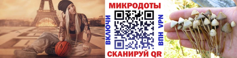Галлюциногенные грибы прущие грибы ОМГ ОМГ tor Дюртюли купить наркотик