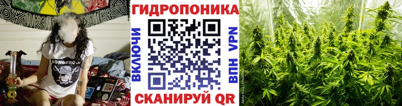 Шишки марихуана ГИДРОПОН  MEGA ТОР  Дюртюли 